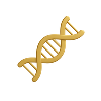 Gold DNA double helix on a white background